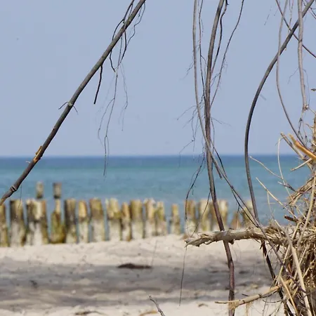 Kinozimmer * Bad Doberan